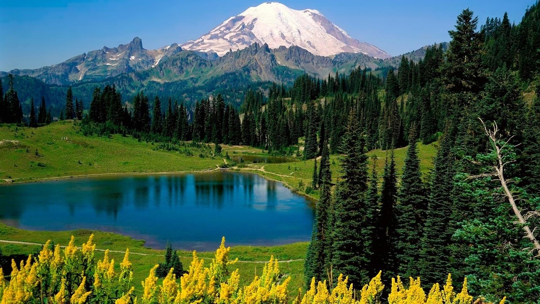 Landscape Live Wallpaper - Preview 7