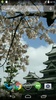 Spring Sakura Blossom Video Wallpaper screenshot 3