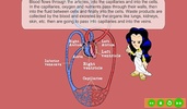 Circulatory System screenshot 4