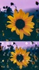 Sunflower screenshot 1