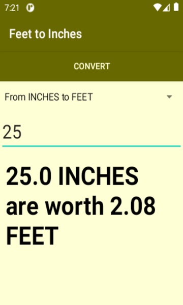 Feet to Inches converter - Preview 3