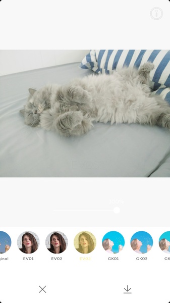 PICTAIL - Cykik - Preview 8