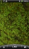 苔 緑色のコケ 壁紙 screenshot 4