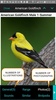 iBird Lite screenshot 22
