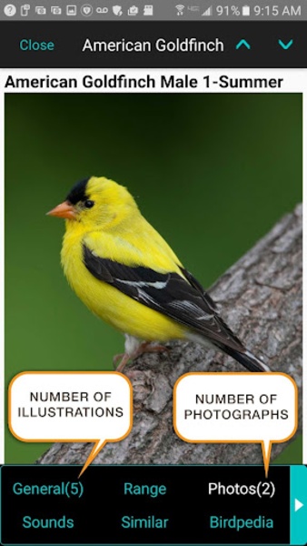 iBird Lite - Preview 22