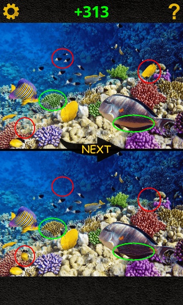 Find Differences - Preview 3