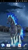 Horse with fiery mane live wp screenshot 2