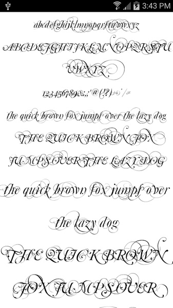 Script Fonts 50 - Preview 4