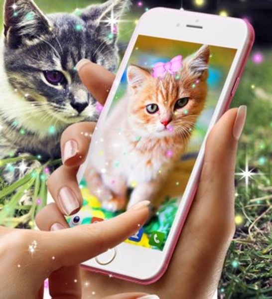 Kitty live wallpaper - Preview 1