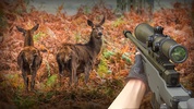 Deer Hunting Offline Games screenshot 4