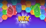 Hexa Sort: Color Puzzle Game screenshot 17