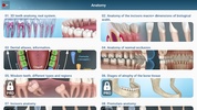 Dental 3D Illustrations screenshot 8