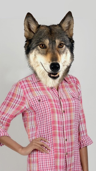 Animal Face Photo Maker - Preview 5
