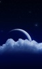 Night Sky Live Wallpaper screenshot 1