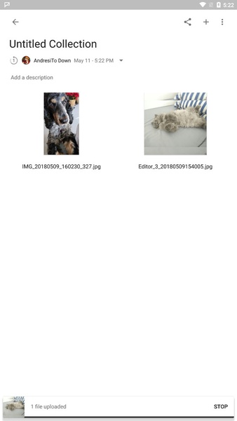 Material Gallery - Preview 4