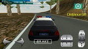 Drive Offroad Police Car 17 screenshot 4