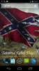 Confederate Flag screenshot 7