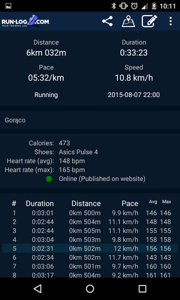 Run-log.com - Preview 5