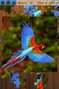 Birds Jigsaw Puzzles Game screenshot 11