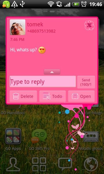 GO SMS Pro Fairy Theme - Preview 3