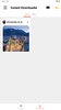 Instant Downloader screenshot 5
