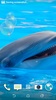 Dolphins LWP + Games Puzzle screenshot 4
