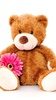 Teddy Bear Live Wallpaper screenshot 3