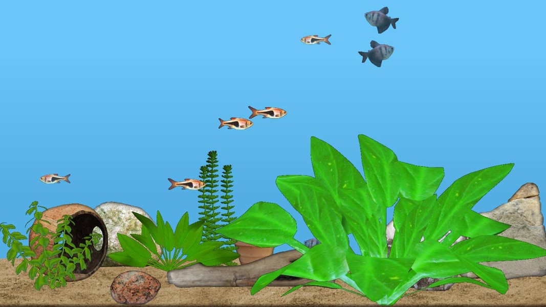 Aquarium Fish - Preview 5