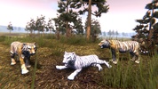 Wild Tiger Hunting Animal Life screenshot 9