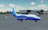 Flight 787-Anadolu LS screenshot 6