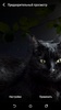 Cat Live Wallpaper screenshot 7