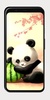 Baby Panda Wallpaper screenshot 3
