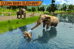 Wild Elephant Family simulator screenshot 14