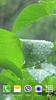 Rainstorm Video Live Wallpaper screenshot 9
