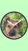 Photo Analog Clock-7 screenshot 11