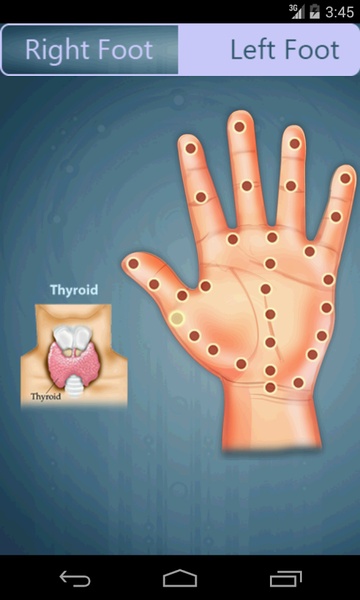 Reflexology - Preview 1