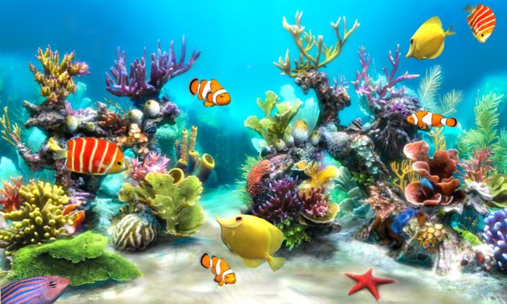 Sim Aquarium - Preview 2