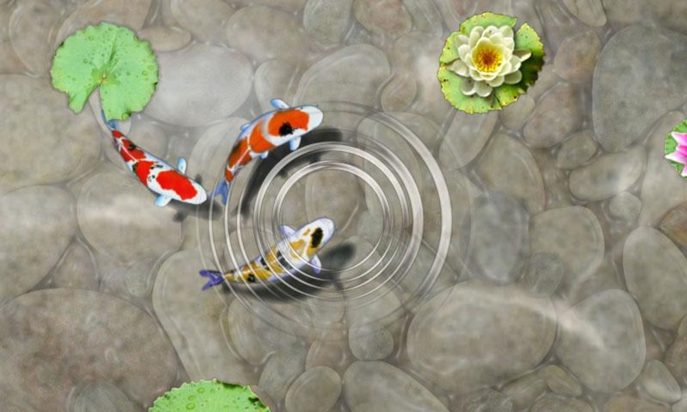 Feed the Koi fish Kids Game - Preview 2