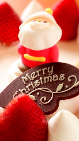Santa Claus Live Wallpaper - Preview 6
