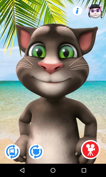 Talking Tom for Messenger - Preview 5