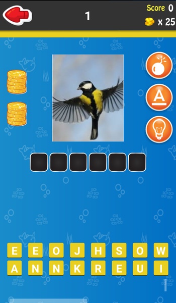 quizz - Preview 3
