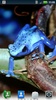 Tree Frogs Live Wallpaper screenshot 2