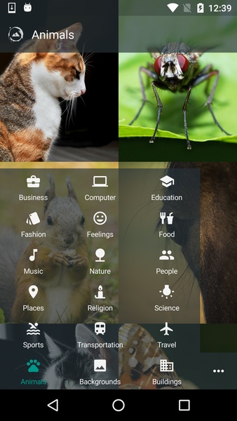 Silax HD Wallpapers - Preview 2