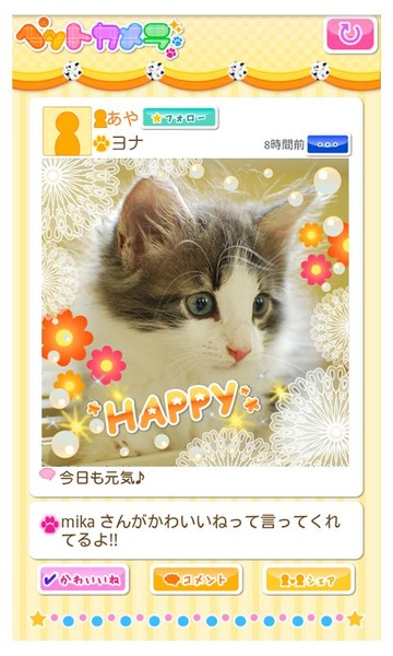 Petcamera - Preview 2