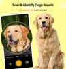 Dogs Identification App screenshot 8