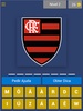 Brazilian League Logo Quiz screenshot 3