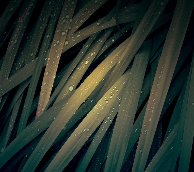 Wallpapers 6 - Preview 18