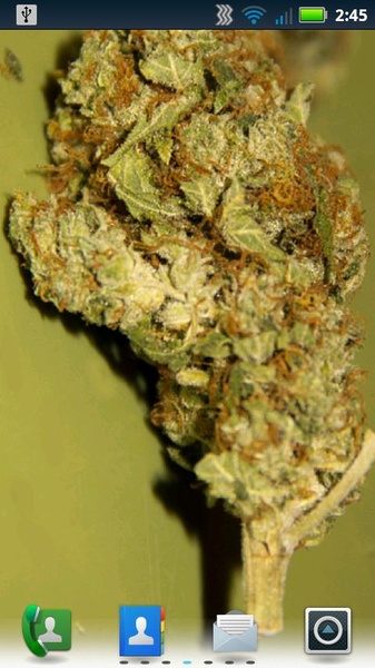 Sour Diesel Live Wallpaper - Preview 7