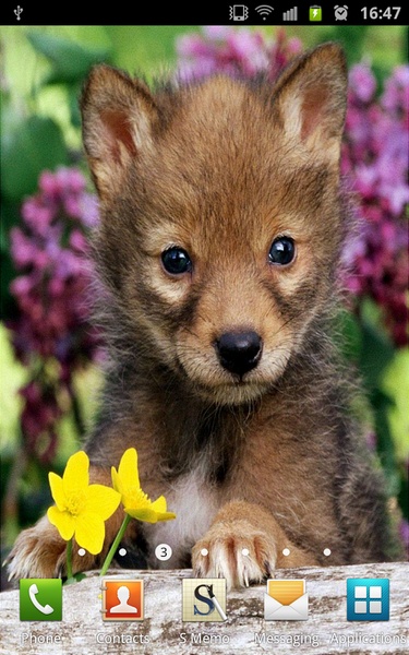 Cute Puppies Wallpapers - Preview 4