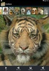 Zooface - GIF Animal Morph screenshot 1